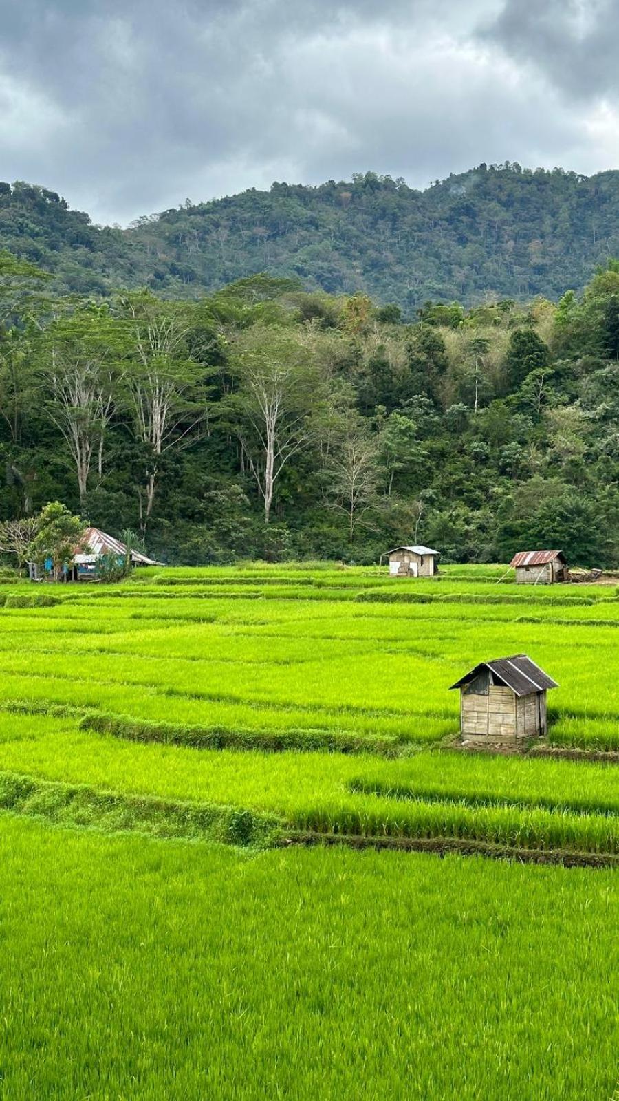 Petra Homestay Bangka Leda Рутенг Екстериор снимка
